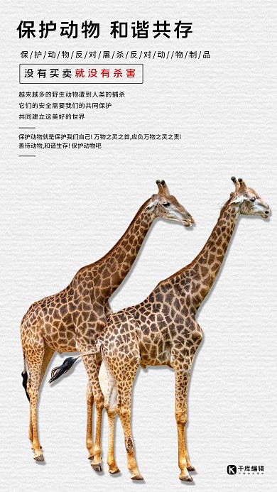 善待动物长颈鹿白色简约海报