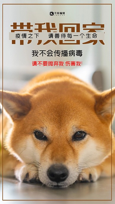 善待动物善待生命宠物动物浅色系简约海报