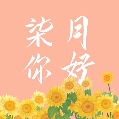 七月你好向日葵橘色简洁公众号次图