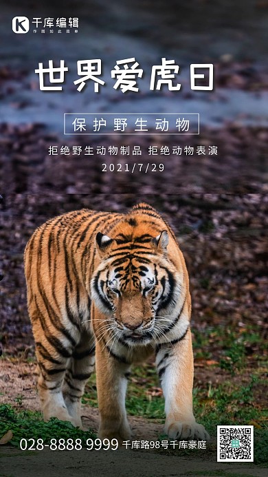 世界爱虎日老虎黑色写实海报