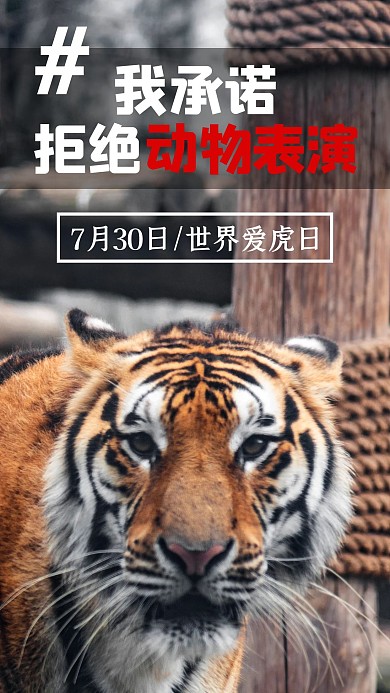 世界爱虎日老虎棕色写实手机海报