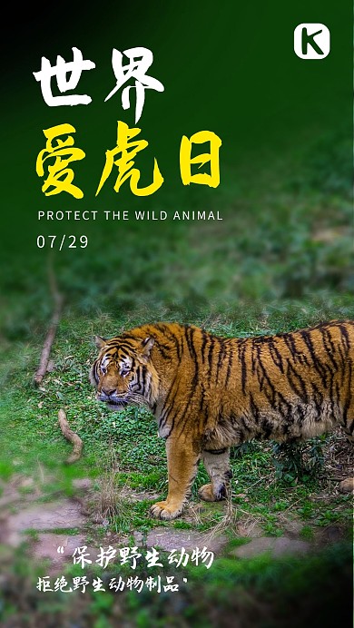 世界爱虎日老虎绿色简约海报