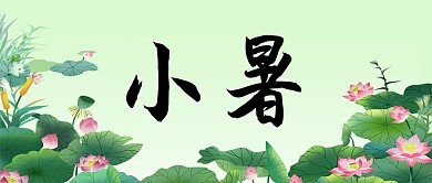 小暑荷花绿色绿色中国风公众号首图