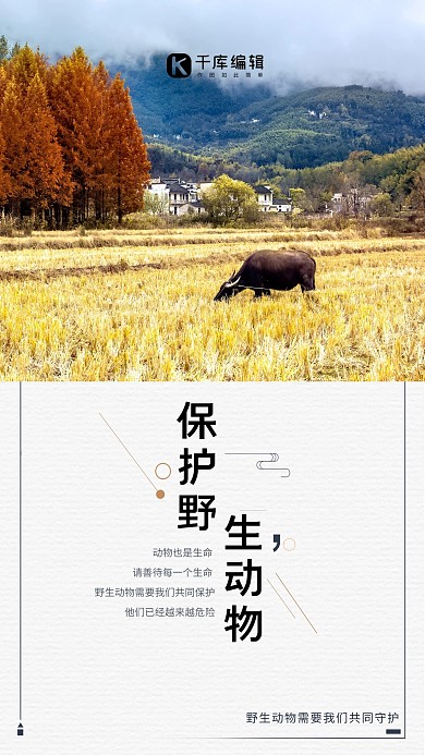 善待动物野牛白色简约海报