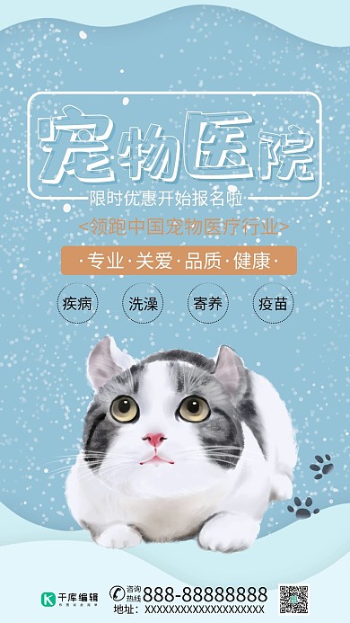 宠物医院宠物猫猫蓝色简约风海报