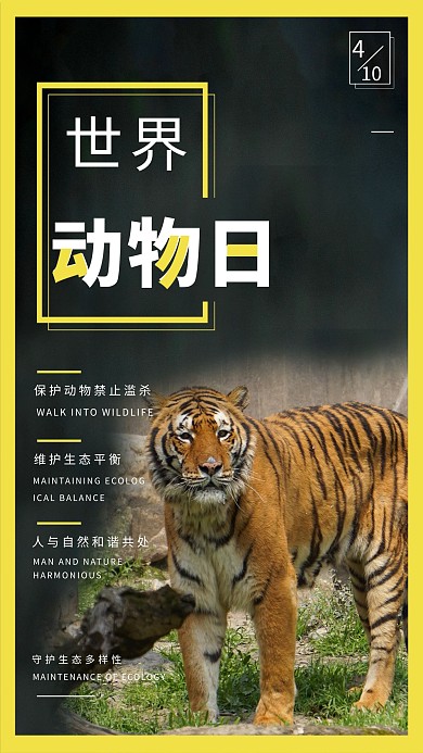 世界动物日老虎黄色创意海报
