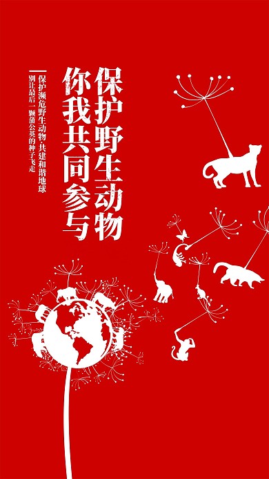 保护关爱野生动物公益宣传海报展板