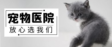 宠物医院宠物猫灰色简约公众号首图