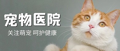 宠物医院宠物猫灰色简约公众号首图