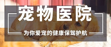 宠物医院为你爱宠的健康保驾护航公众号首图