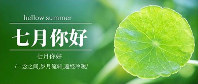 七月你好睡莲绿色摄影简洁公众号首图