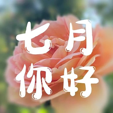 七月你好黄玫瑰黄色简约清新公众号次图