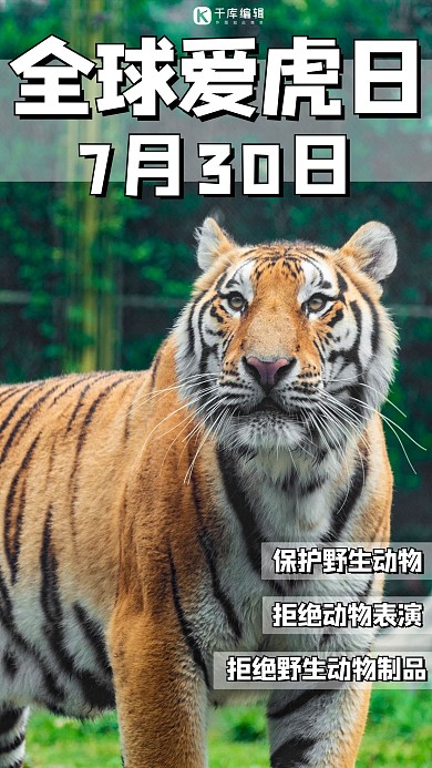 全球爱虎日老虎绿色简约手机海报