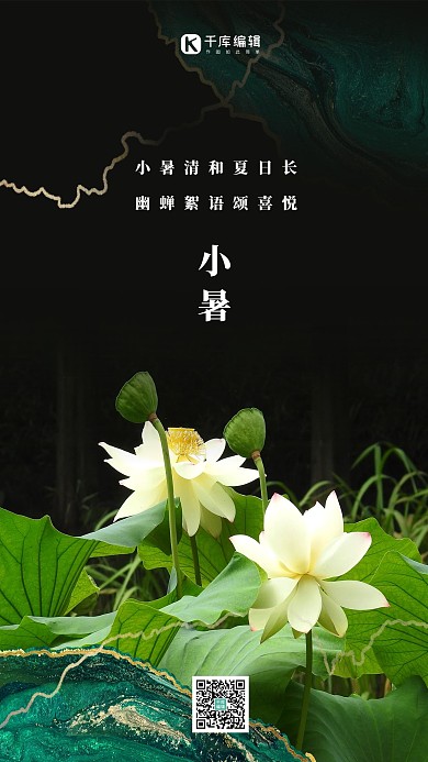 二十四节气小暑荷花绿色简约海报