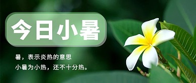 小暑鸡蛋花绿色清新简约公众号首图