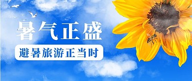 小暑 暑气正盛蓝色简约摄影公众号首图