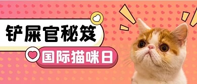 国际猫咪日文字红色渐变卡通公众号首图