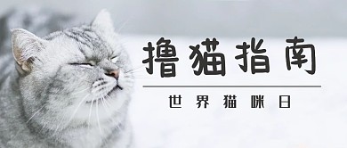 撸猫指南猫白色可爱公众号首图