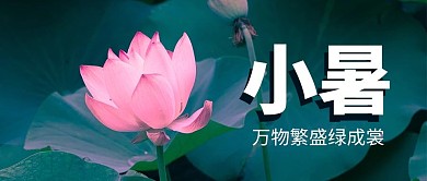 小暑荷花绿色简约公众号首图
