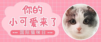 你的小可爱来了猫粉色可爱公众号首图