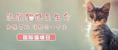 国际猫咪日小猫灰色简约公众号首图