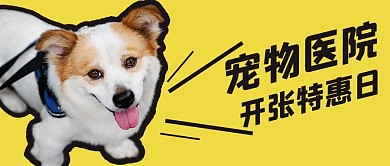 宠物医院开张特惠黄色简约公众号首图