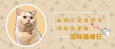 国际猫咪日文字黄色简约清新公众号首图