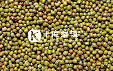 绿豆高端商务个性名片