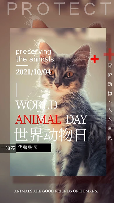 世界动物日公益宣传海报