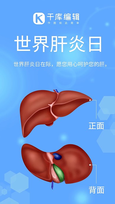 世界肝炎日肝脏蓝色渐变手机海报