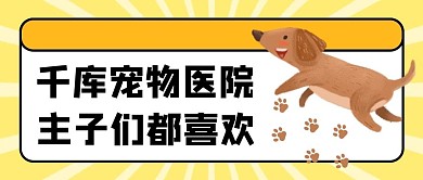 宠物医院狗狗黄色卡通创意公众号首图