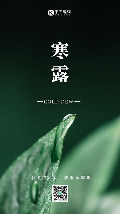 寒露植物绿色简约摄影图海报