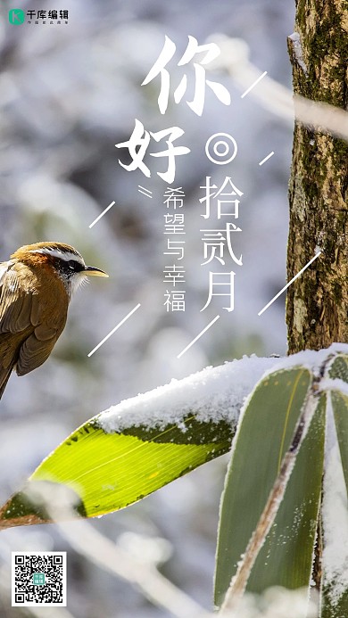 十二月你好白色写实简约风冬天12月大自然冬季海报