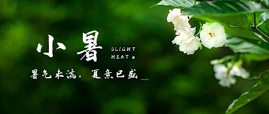 小暑节气绿色摄影图公众号首图