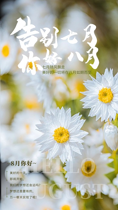 八月你好小雏菊白色摄影图海报