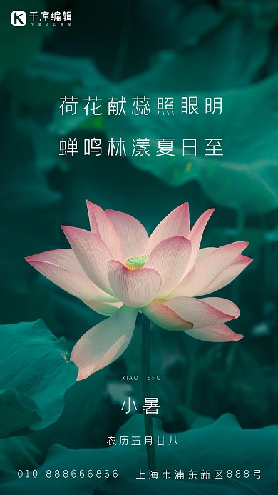 二十四节气小暑荷花绿色简约海报