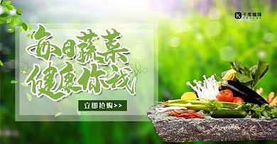 简约摄影绿色新鲜蔬菜促销banner