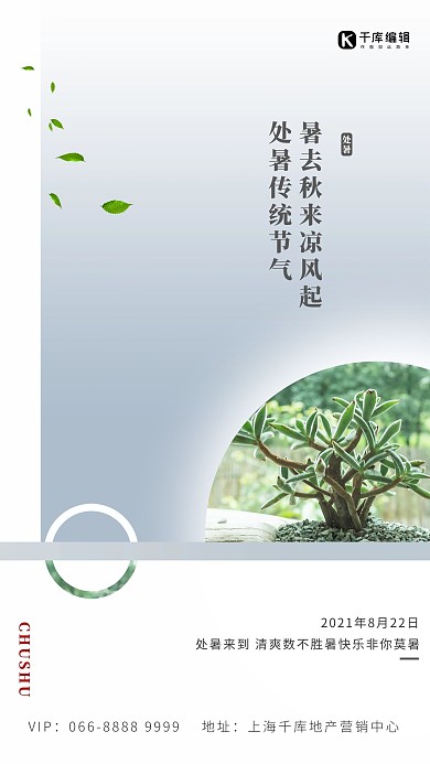 处暑植物灰色创意海报