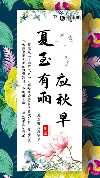清新文艺24节气夏至海报