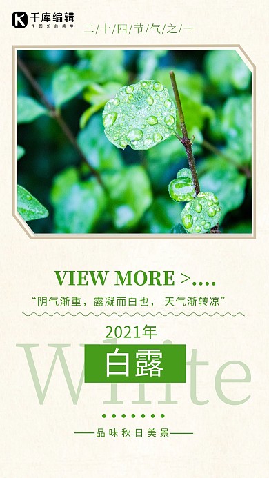 白露植物绿色简约海报