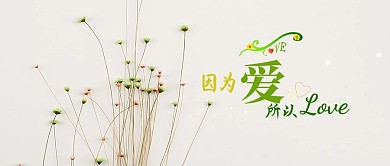 因为爱所以爱花卉情人节配图