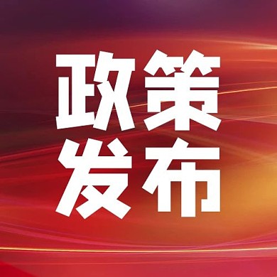 政策发布字体红色简约公众号次图