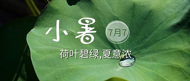 千库编辑原创小暑荷叶绿色摄影公众号首图