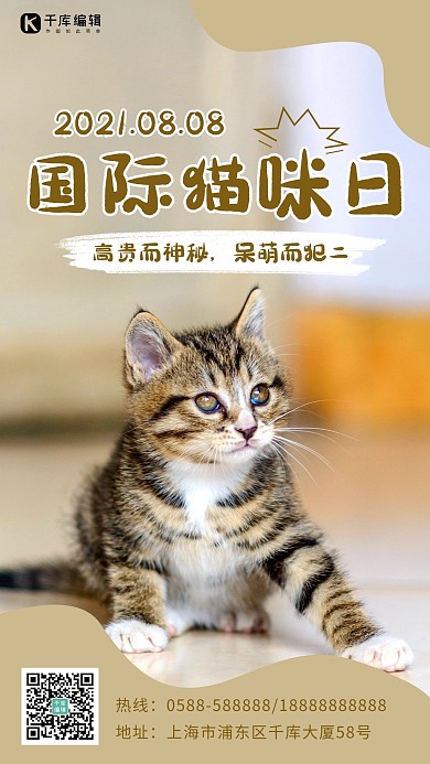 国际猫咪日猫咪棕色清新海报