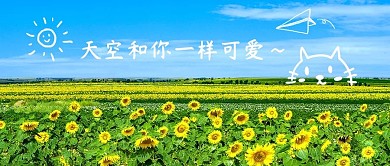 创意涂鸦向日葵蓝色黄色唯美小清新公众号首图
