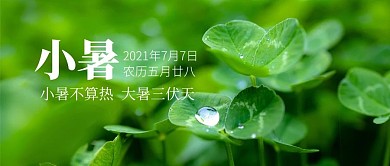 小暑节气四叶草雨滴绿色唯美公众号首图
