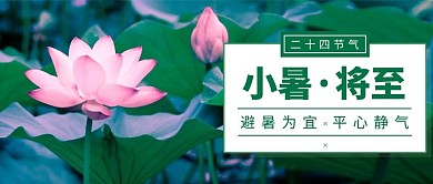 小暑节气荷花绿色大字摄影公众号首图