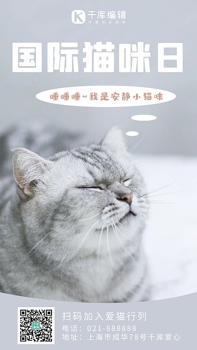 国际猫咪日猫咪灰色简约手机海报