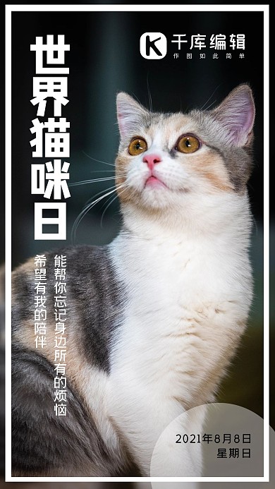 世界猫咪日猫咪黑色简约手机海报