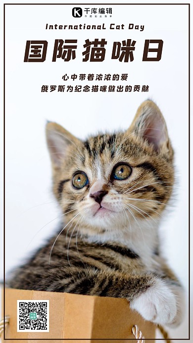 国际猫咪日海报可爱猫咪白色可爱风手机海报